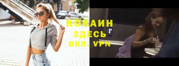 ешки Алексин