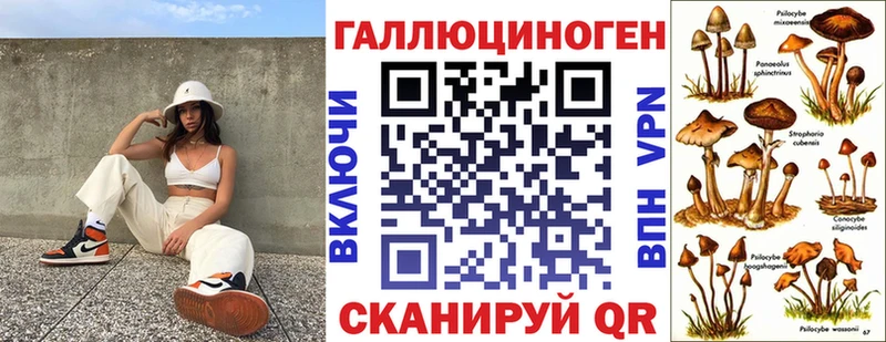 Псилоцибиновые грибы GOLDEN TEACHER Прокопьевск
