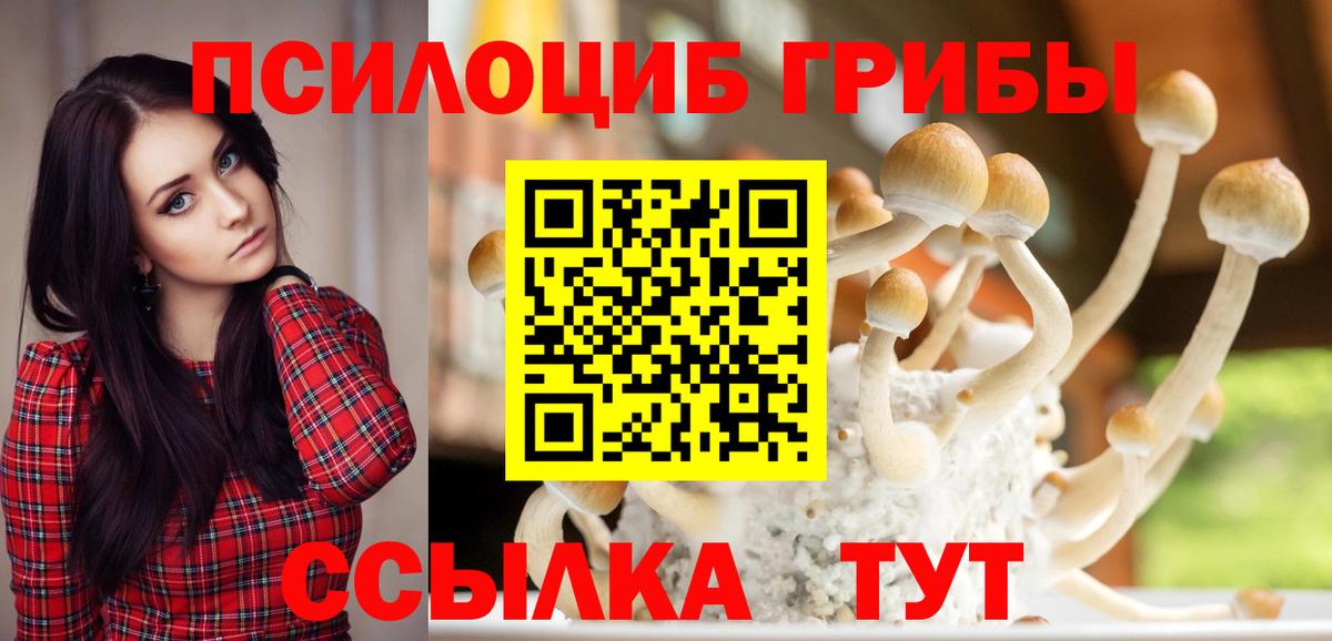Прокопьевск  Галлюциногенные грибы ЛСД  Вход с VPN  Галлюциногенные грибы Psilocybe 