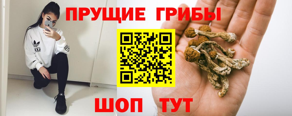 Псилоцибиновые грибы мицелий Прокопьевск